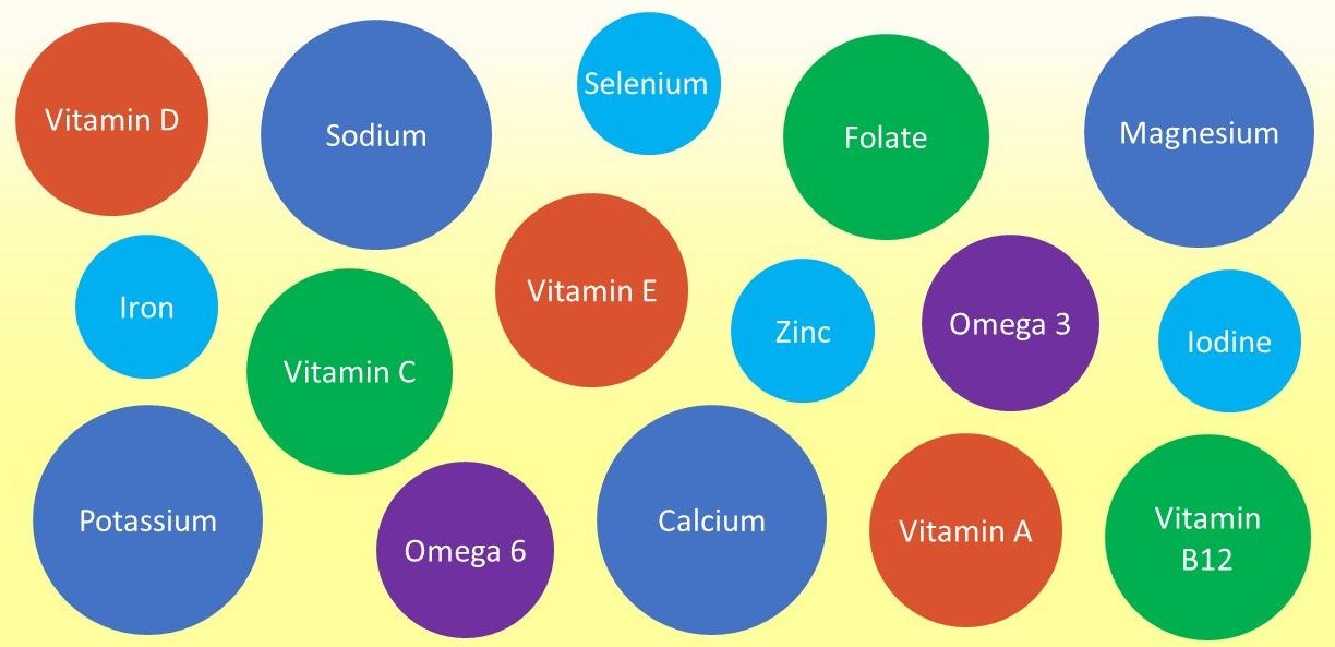 Gesund Bunt Essen
